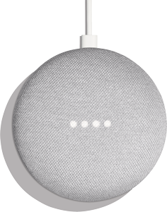 Google Home