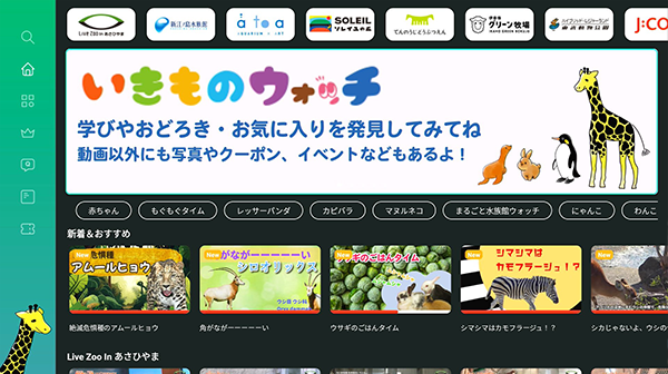 コンテンツ